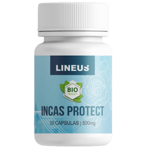 Incas Protect py